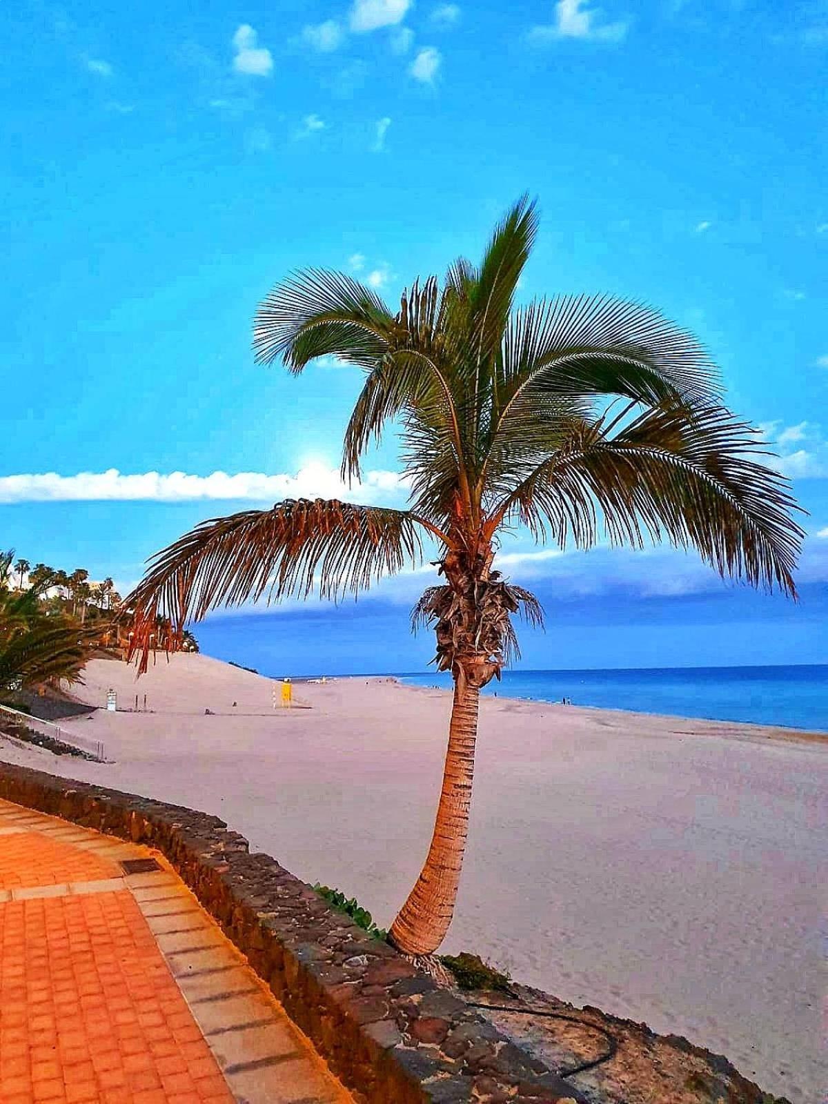 Holiday home Casa Mar Y Monte
